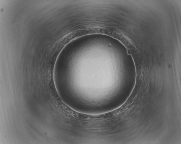 X0000064730821200602171639