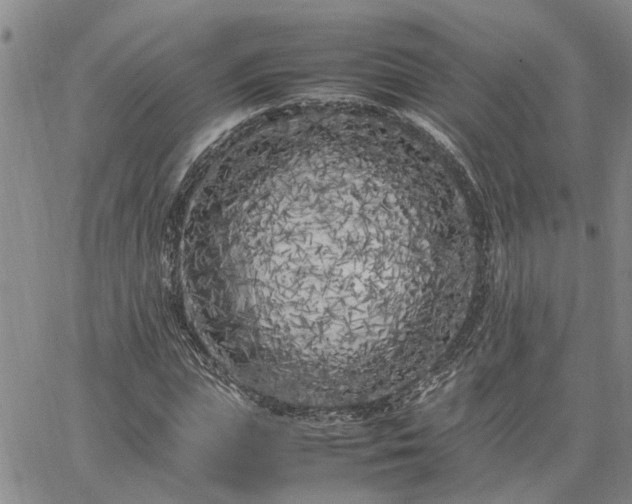 X0000064730823200602171639