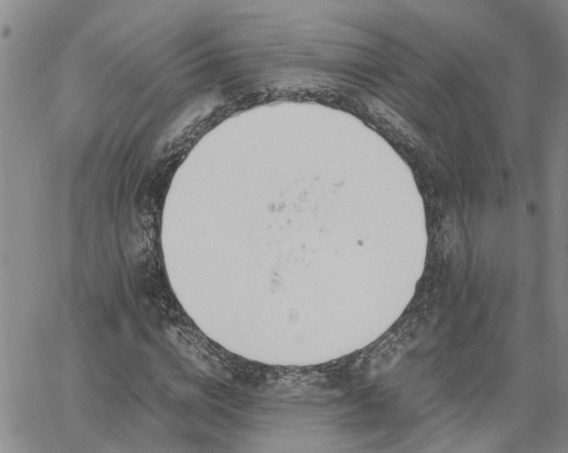 X0000064730824200602171639