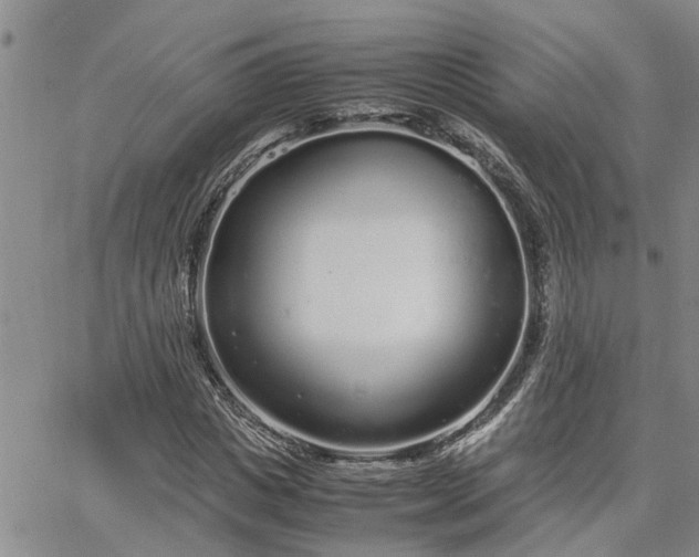 X0000064730825200602171639