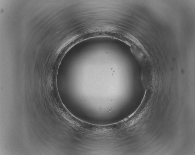 X0000064730826200602171639