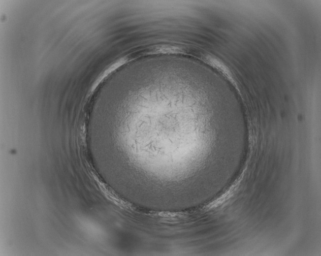 X0000064730827200602171639