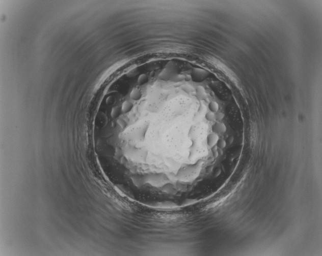 X0000064730829200602171639