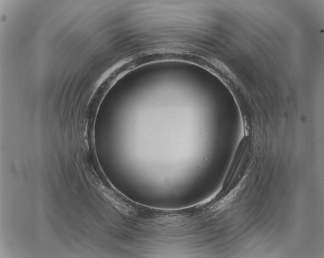 X0000064730830200602171639