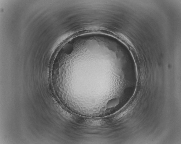 X0000064730831200602171639