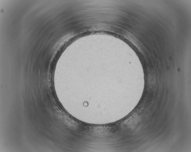 X0000064730832200602171639