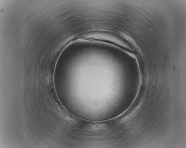 X0000064730833200602171639