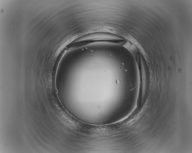 X0000064730834200602171639