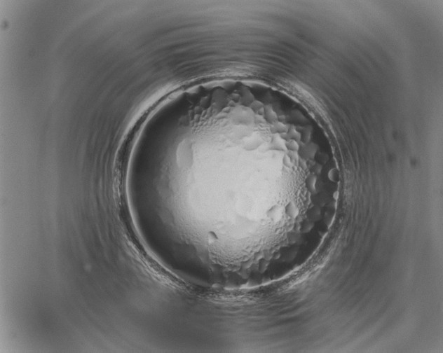 X0000064730835200602171639