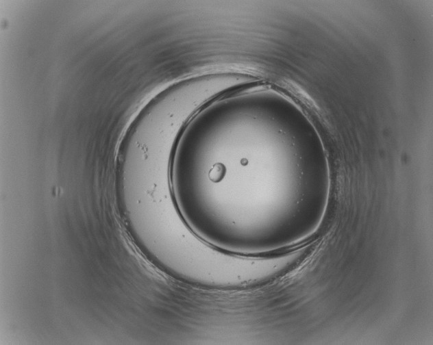 X0000064730836200602171639