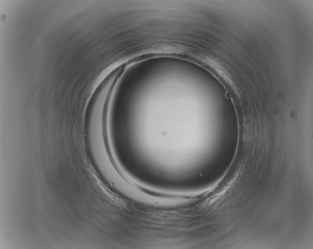 X0000064730837200602171639