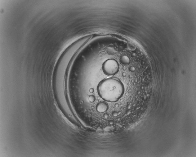 X0000064730839200602171639