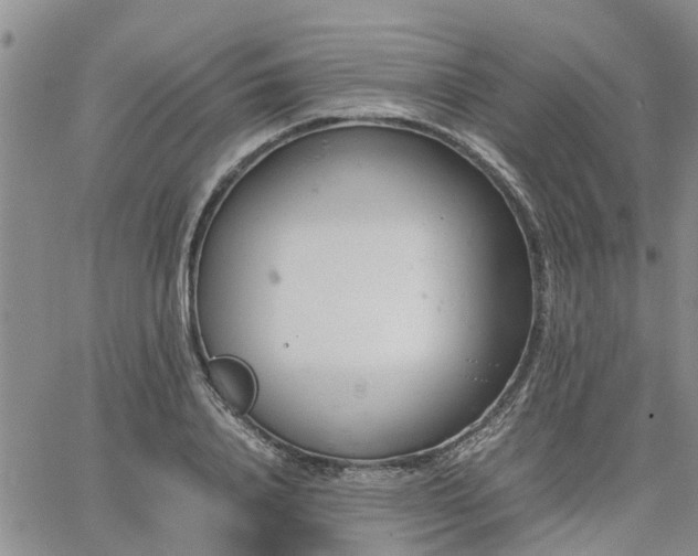 X0000064730840200602171639