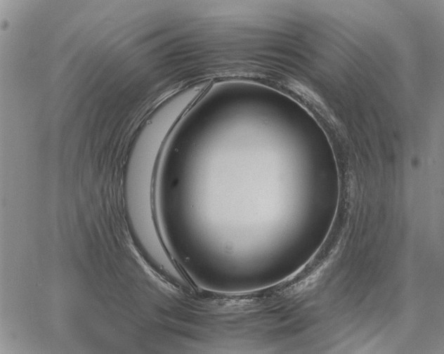 X0000064730841200602171639