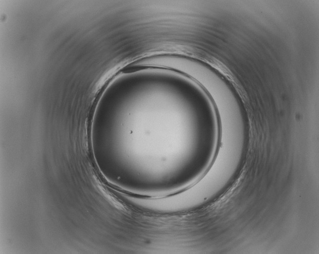 X0000064730842200602171639