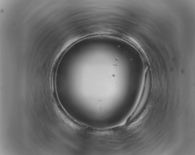 X0000064730843200602171640