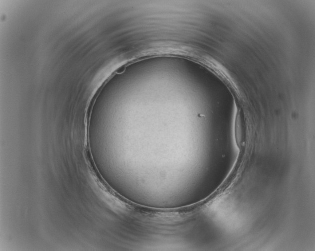 X0000064730844200602171640