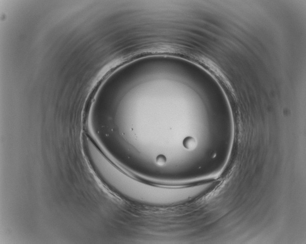 X0000064730845200602171640