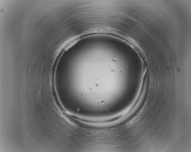 X0000064730846200602171640