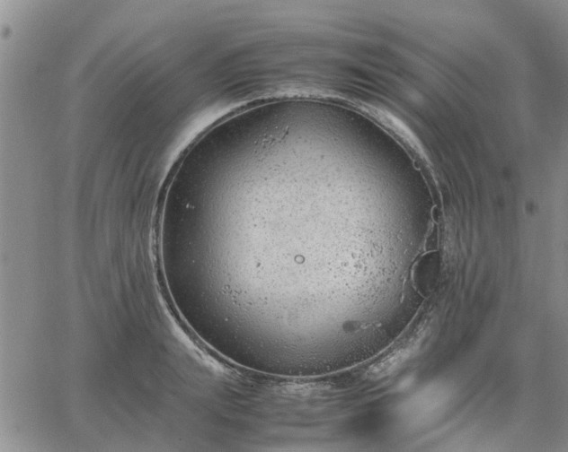 X0000064730847200602171640