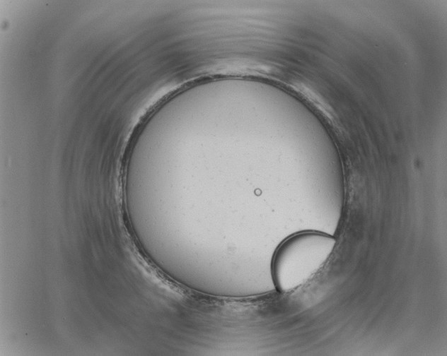 X0000064730848200602171640