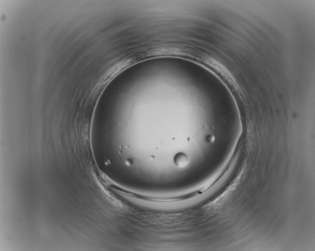 X0000064730849200602171640