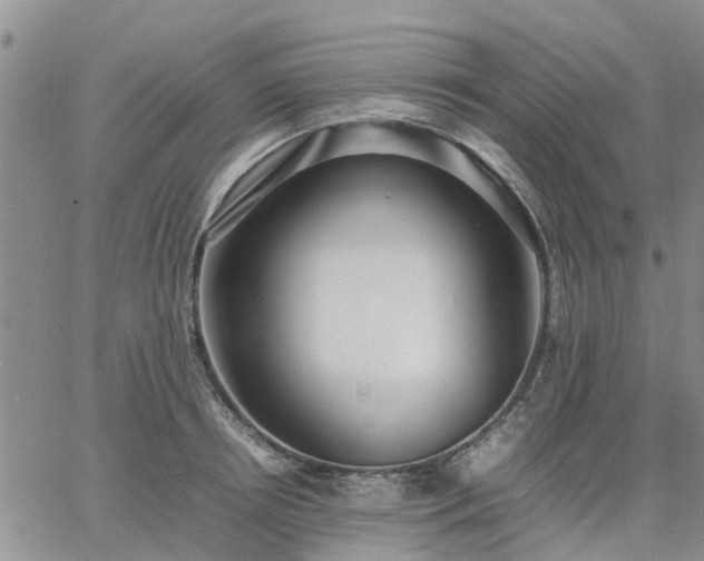 X0000064730850200602171640