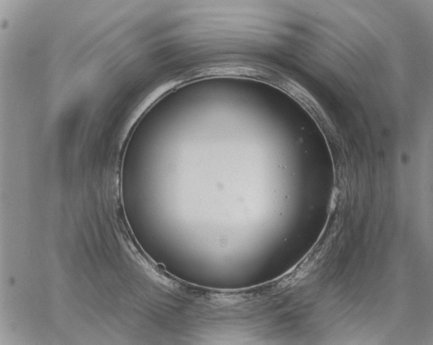 X0000064730852200602171640