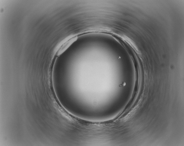 X0000064730854200602171640