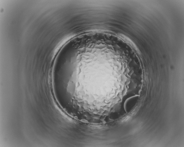 X0000064730855200602171640