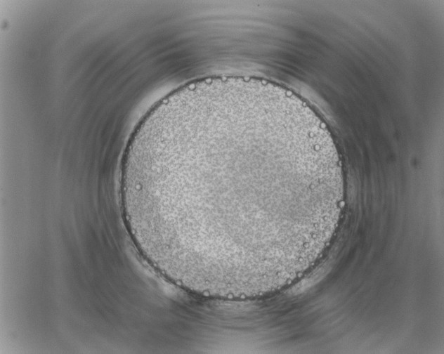 X0000064730856200602171640