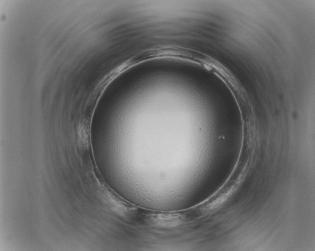 X0000064730857200602171640