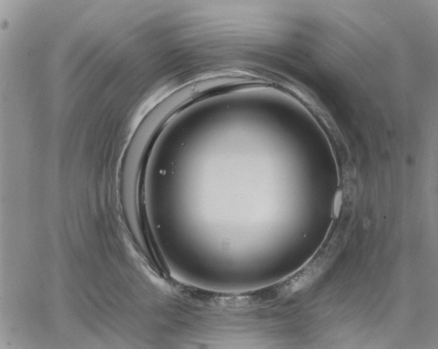 X0000064730858200602171640