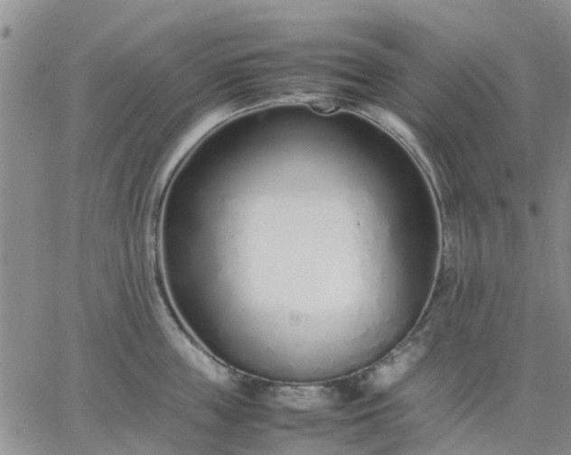 X0000064730859200602171640