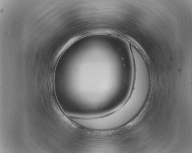 X0000064730860200602171640