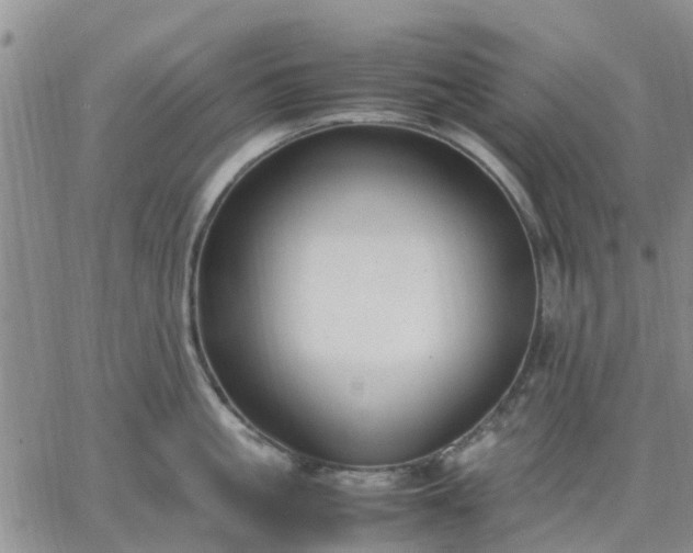 X0000064730861200602171640