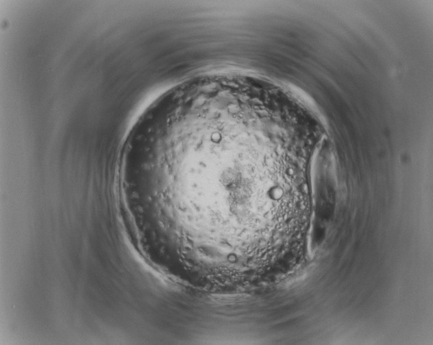 X0000064730863200602171640