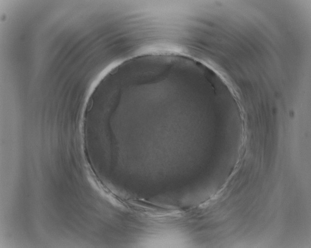 X0000064730864200602171640