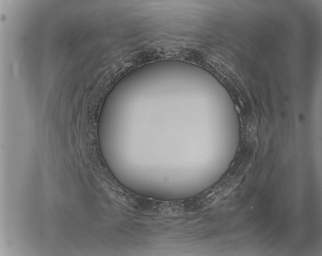 X0000064730865200602171639