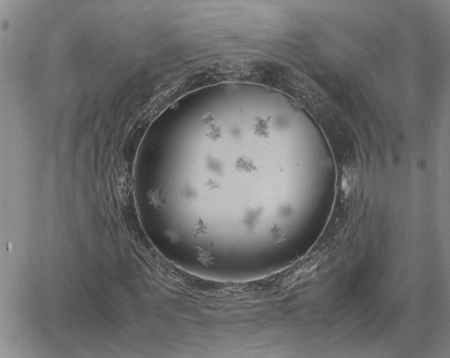 X0000064730867200602171639