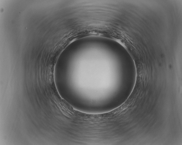 X0000064730868200602171639