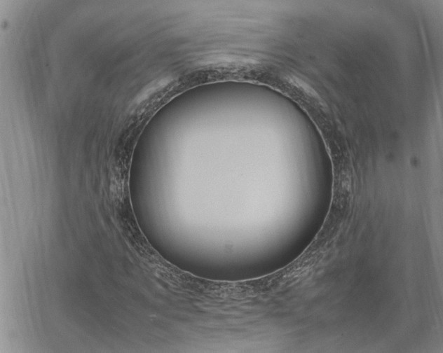 X0000064730869200602171639