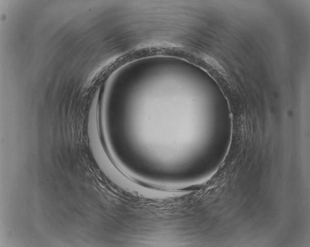 X0000064730872200602171639