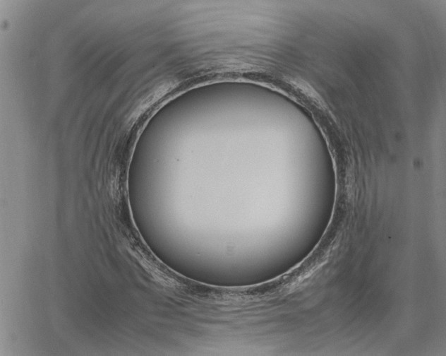 X0000064730873200602171639