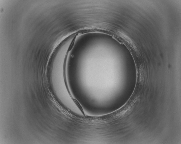 X0000064730876200602171639