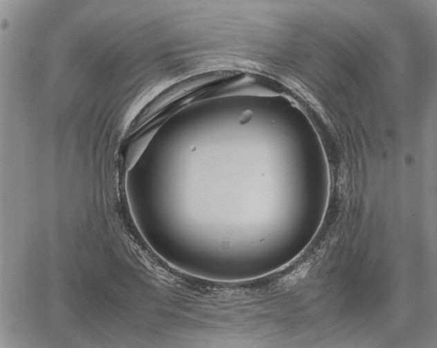 X0000064730877200602171639