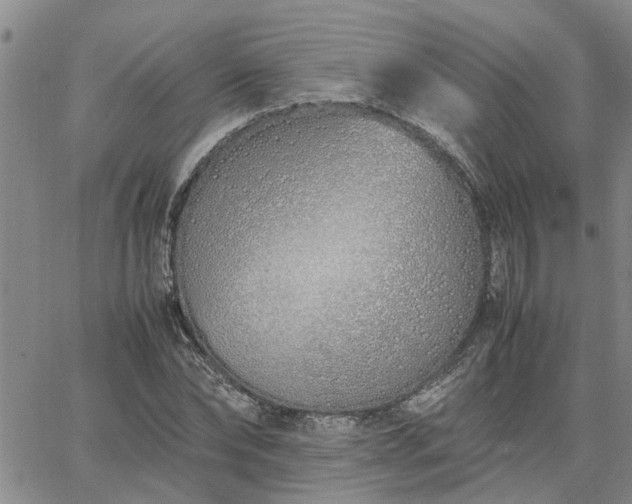 X0000064730878200602171639