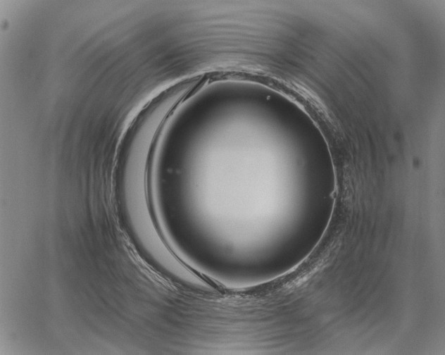 X0000064730880200602171639