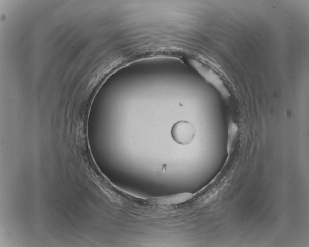 X0000064730881200602171639