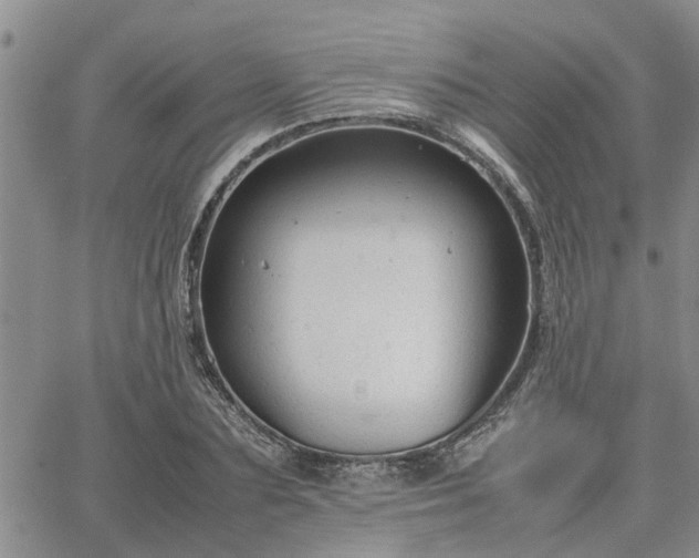 X0000064730883200602171639